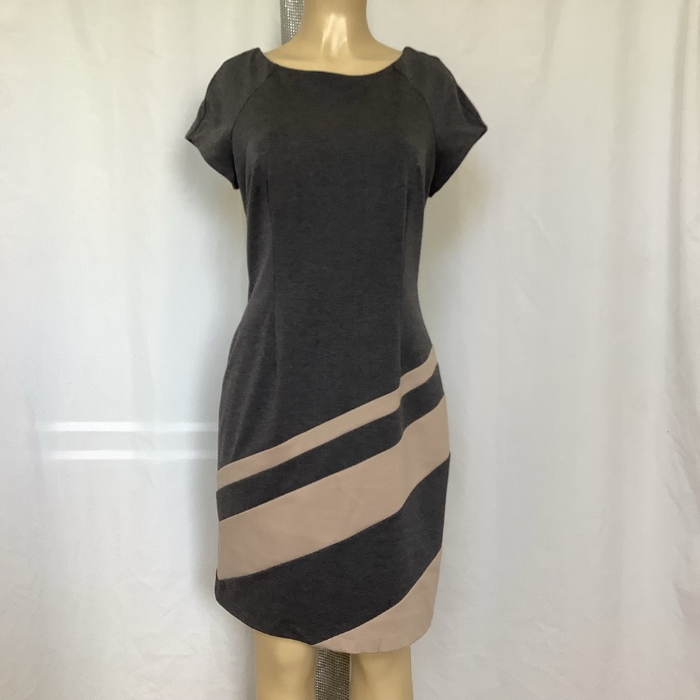 Studio I Gray and Cream Sheath Dress with Raglan Sleeves